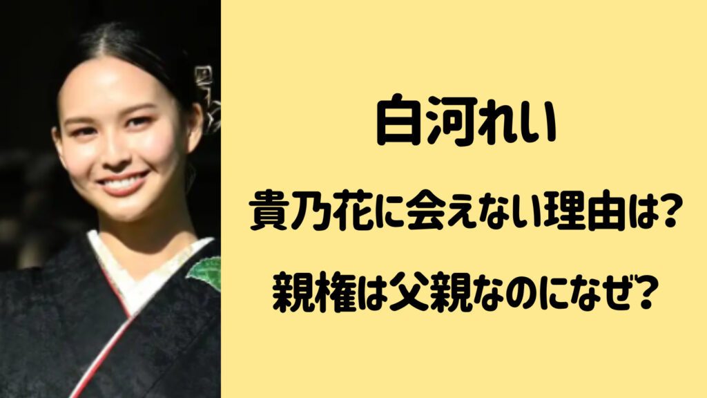白河れいが貴乃花に会えない理由は？親権は父親なのになぜ？